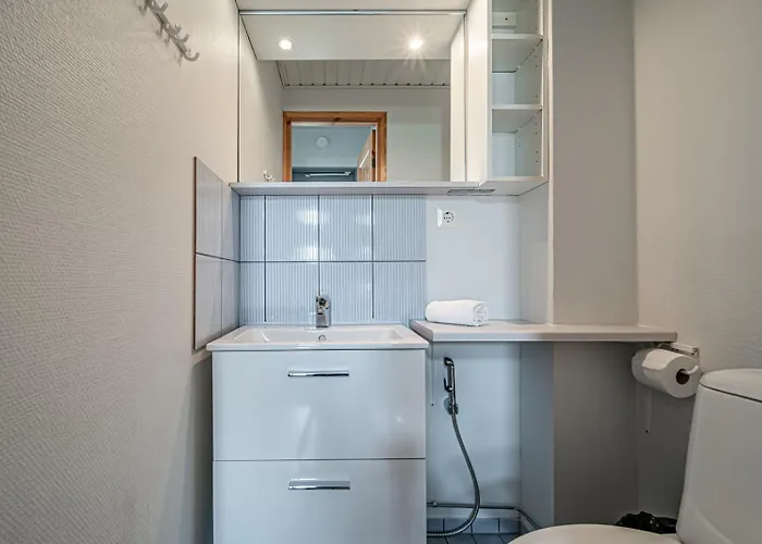 Alpine Kajo B1 Ski-in Ski-out By Aavalevi Huoneisto *